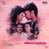 About En Vaaniley (From Ninaivugal Thodarkadhai) Song